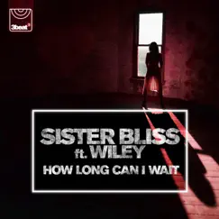 How Long Can I Wait (feat. Wiley) - EP by Sister Bliss album reviews, ratings, credits