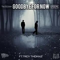 Goodbye for Now (feat. Troy Thomas) Song Lyrics
