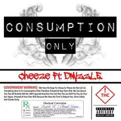 Consumption Only (feat. D Mizzel) - Single by Big Cheeze album reviews, ratings, credits