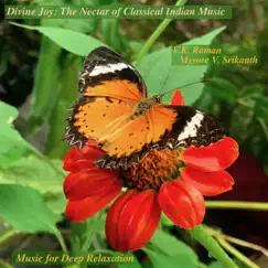 Divine Joy: The Nectar of Classical Indian Music by Music for Deep Relaxation, V K Raman & Mysore V. Srikanth album reviews, ratings, credits