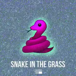 Snake in the Grass Song Lyrics