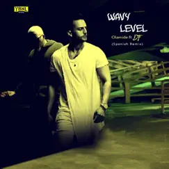 Wavy Level (Spanish Remix) [feat. DF] - Single by Olamide album reviews, ratings, credits