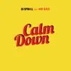 Calm Down (feat. Mr Eazi) - Single album lyrics, reviews, download