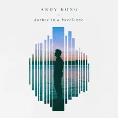 Harbor in a Hurricane - Single by Andy Kong album reviews, ratings, credits