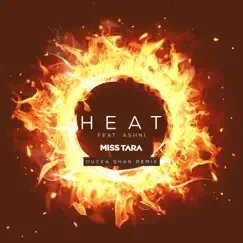 Heat (Remix) [feat. Ashni & Ducka Shan] Song Lyrics