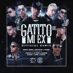 El Gatito de Mi Ex (feat. Gigolo & La Exce, Darkiel, Pusho, Juhn & Pacho) [Remix] Song Lyrics