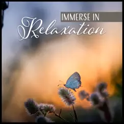 Immerse in Relaxation by Zen Relaxation Academy album reviews, ratings, credits