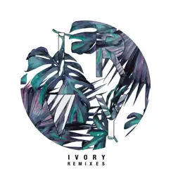 Ivory (Blowsom Remix) Song Lyrics