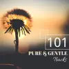 101 Pure & Gentle Tracks - Spiritual Music for Serenity & Equilibrium with Nature Sounds album lyrics, reviews, download