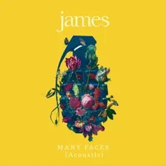 Many Faces (Acoustic) - Single by James album reviews, ratings, credits