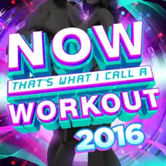Now That's What I Call a Workout 2016 by Various Artists album reviews, ratings, credits