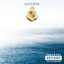 Elevated - Single by Ninestyne album reviews, ratings, credits