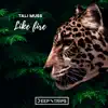 Like Fire - Single album lyrics, reviews, download