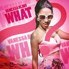 What - Single by Vanessa Bling album reviews, ratings, credits