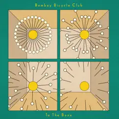 To the Bone - Single by Bombay Bicycle Club album reviews, ratings, credits
