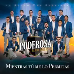 Mientras Tú Me lo Permitas - Single by La Poderosa Banda San Juan album reviews, ratings, credits
