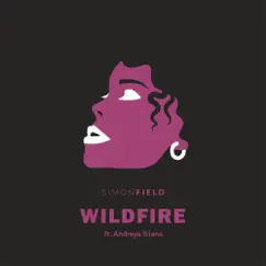 Wildfire (feat. Andreya Triana) Song Lyrics