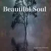 Beautiful Soul album lyrics, reviews, download