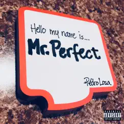 Mr. Perfect Song Lyrics