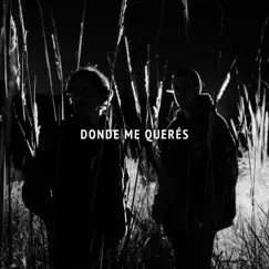 Donde Me Querés - Single by Piel album reviews, ratings, credits