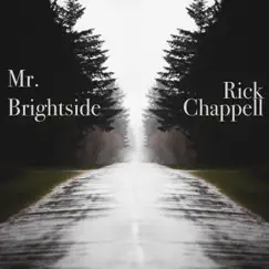 Mr. Brightside (Cover) Song Lyrics