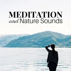 Meditation and Nature Sounds: Relaxing Meditation, Pure Stillness, Amazing Calming Sounds of Rain, Ocean, Wind, Inner Serenity by Asian Zen Alchemy album reviews, ratings, credits
