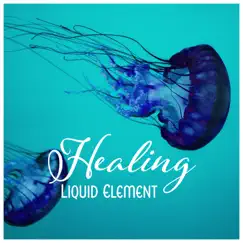 Healing Liquid Element – Soft Dreaming, Beyond Harmony, Lazy Mind Drifting, Purest Aqua Atmosphere by Healing Waters Zone album reviews, ratings, credits