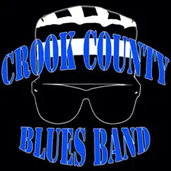 T-Bone Shuffle - Single by Crook County Blues Band album reviews, ratings, credits
