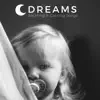 Dreams: Soothing & Calming Songs, Gentle Lullabies, Deep Sleep Music to Better Relax at Night album lyrics, reviews, download