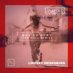 Why Do I Try (Tom Hall Remixes) - Single by Lindsxy Mesenburg album reviews, ratings, credits