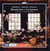 Mandolino e fortepiano album lyrics, reviews, download