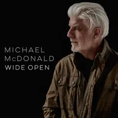 Wide Open by Michael McDonald album reviews, ratings, credits