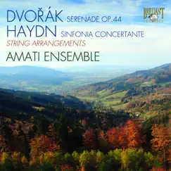 Serenade in D Minor, Op. 44: III. Andante con moto (Arr. by Mordechai Rechtman) Song Lyrics