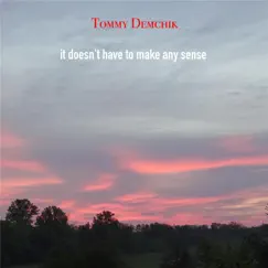 It Doesn't Have to Make Any Sense by Tommy Demchik album reviews, ratings, credits