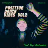 Positive Dance Vibes, Vol. 2 album lyrics, reviews, download