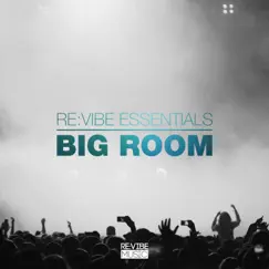 Re:Vibe Essentials - Big Room, Vol. 1 by Various Artists album reviews, ratings, credits