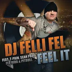 Feel It (feat. T-Pain, Sean Paul, Flo Rida & Pitbull) Song Lyrics