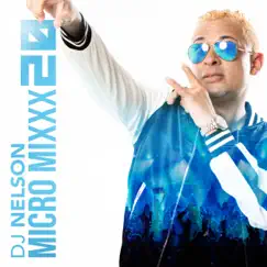 Micro Mixx Vol. 20 - EP by DJ Nelson album reviews, ratings, credits