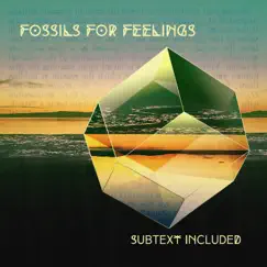 Subtext Included by Fossils for Feelings album reviews, ratings, credits