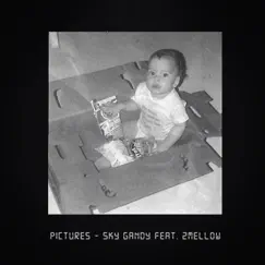 Pictures (Feat. 2Mellow) Song Lyrics