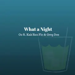 What a Night (feat. Kah'rez Flo & Greg Dos) Song Lyrics