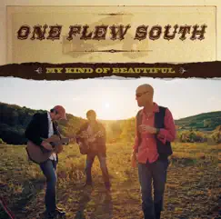 My Kind of Beautiful - Single by One Flew South album reviews, ratings, credits