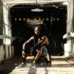 They Said It - Single by Ace Hood album reviews, ratings, credits