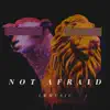 Not Afraid (feat. Allison Ivey) - Single album lyrics, reviews, download