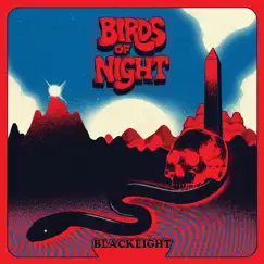 Blacklight - Single by Birds of Night album reviews, ratings, credits