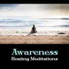 Awareness: Healing Meditations album lyrics, reviews, download