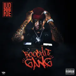Boochie Gang by Lud Foe album reviews, ratings, credits