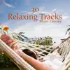 30 Relaxing Tracks: Music Therapy, Total Calm & Happiness, Positive Emotions, Brain Stimulation, Stress Relief, Spa Music album lyrics, reviews, download
