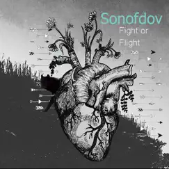 Fight or Flight Song Lyrics