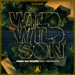 Wild Wild Son (feat. Sam Martin) Song Lyrics